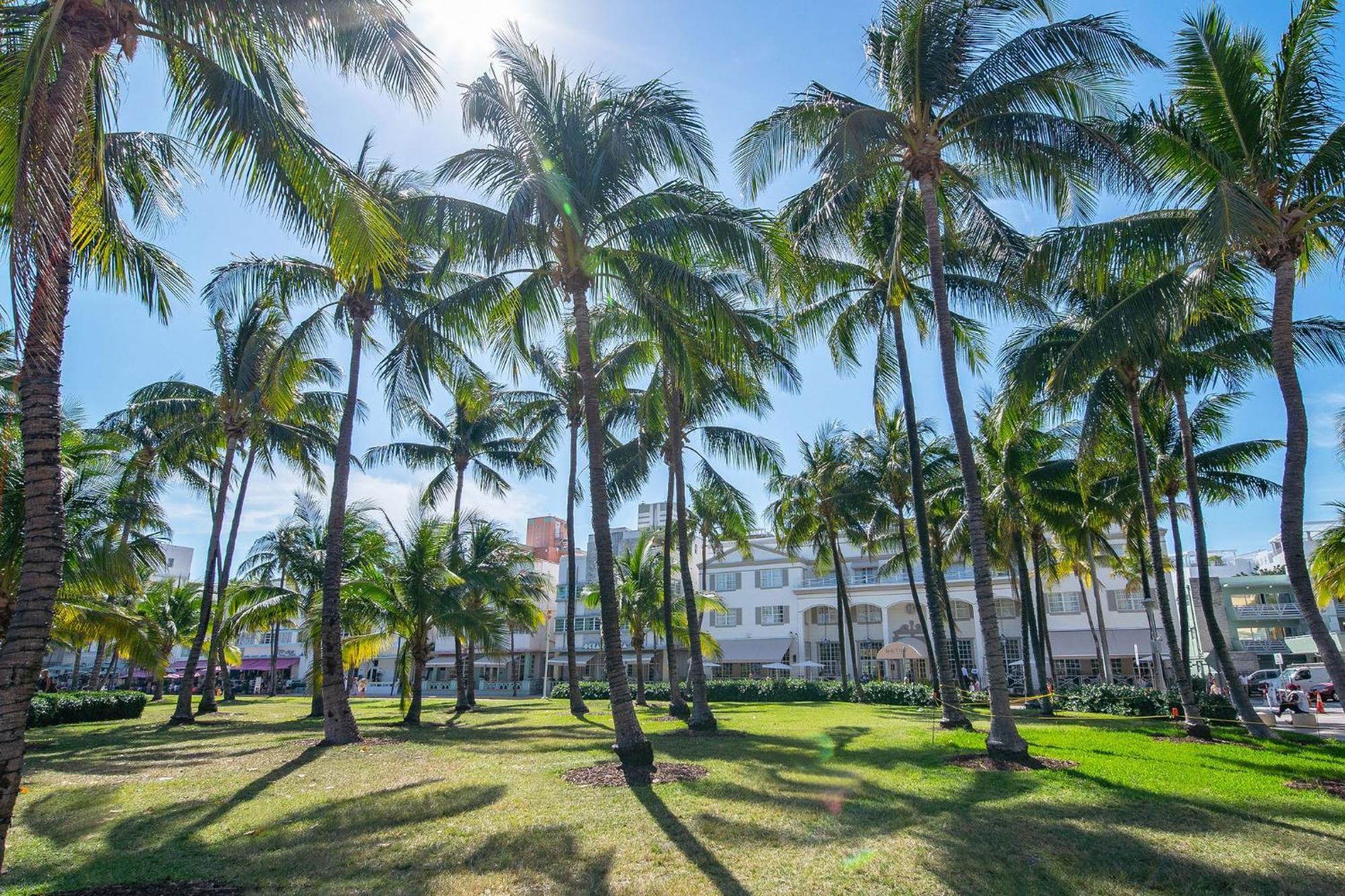 Chic Large Studio Apt Near Ocean Drive South Beach Miami Beach Eksteriør bilde